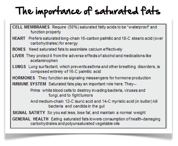 Saturated Fat Function 19